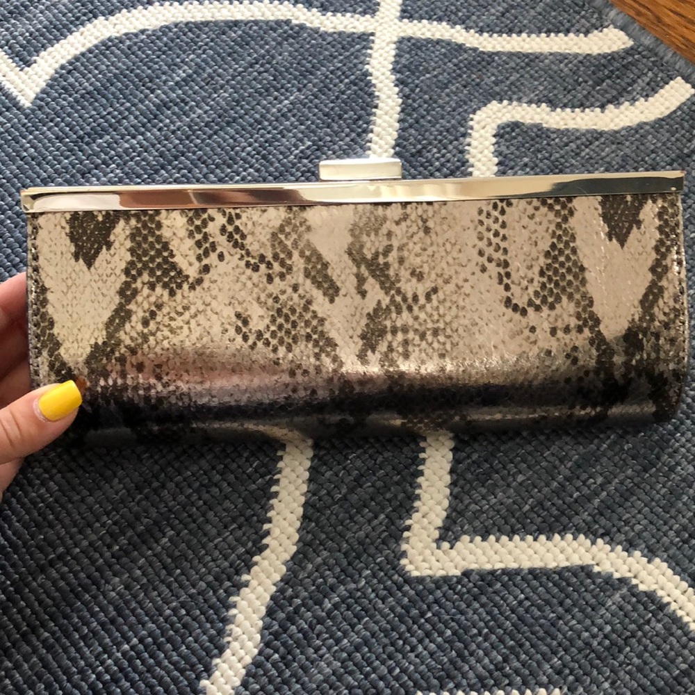 Banana Republic Snake Print Clutch